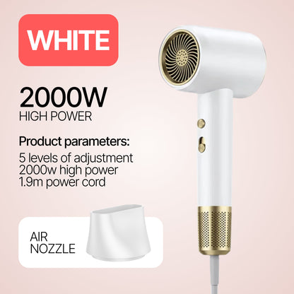 Deluxe HairDryer